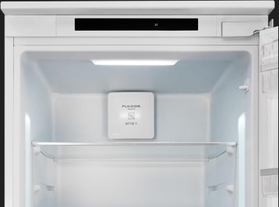 Холодильный шкаф Fulgor Milano FBR 300 F ED